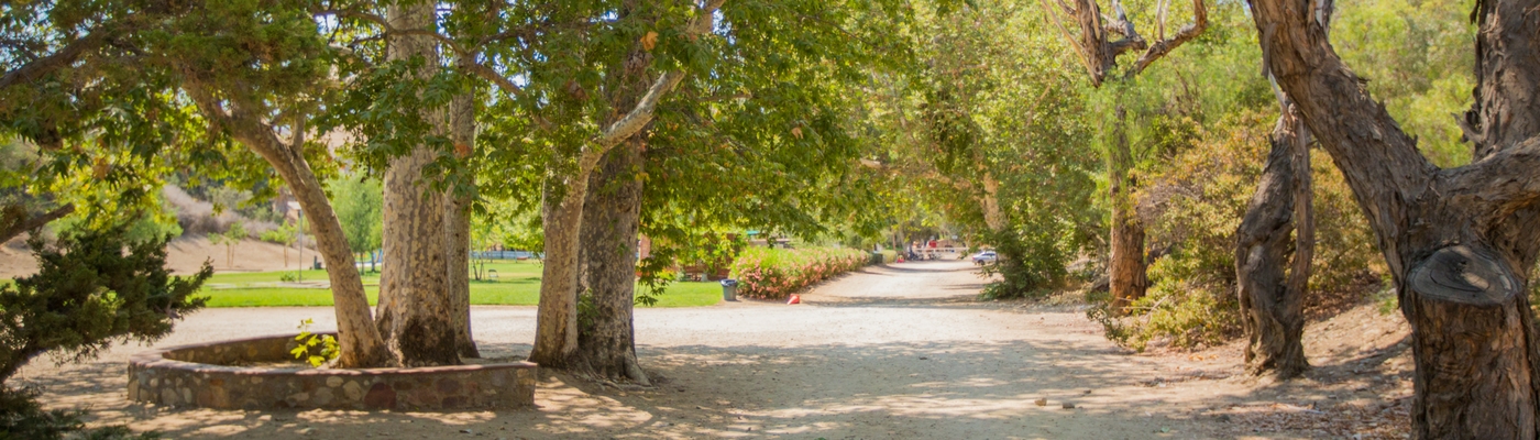 Image of trees and landscape of the Brandeis-Bardin campus in Simi Valley, California