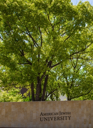 Photograph of AJU sign