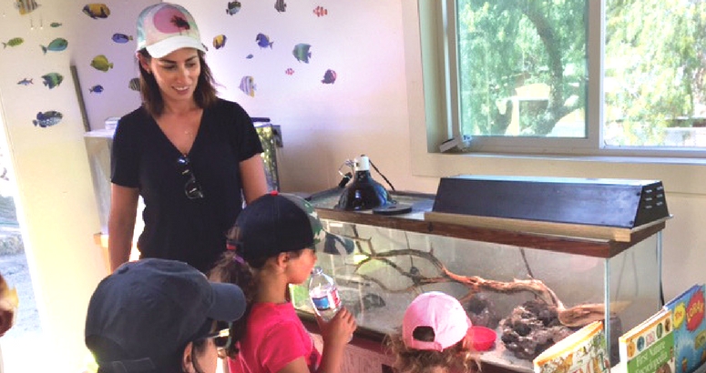 Photograph of children learning about reptiles