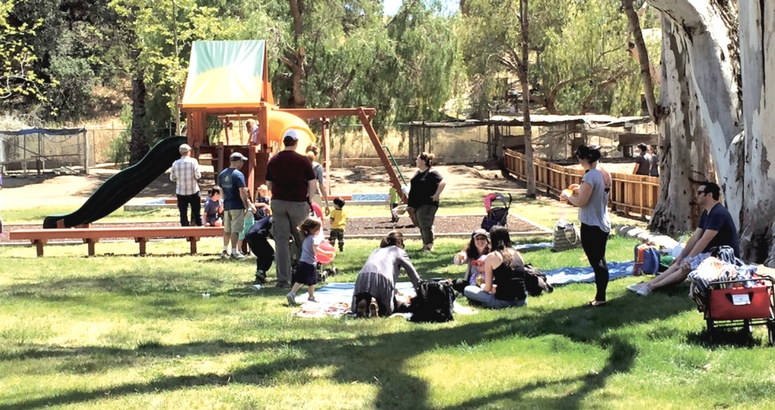 Photograph of families enjoying the park