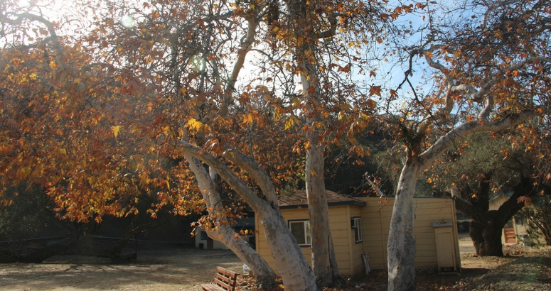 Image of outbuilding on the Brandeis-Bardin campus