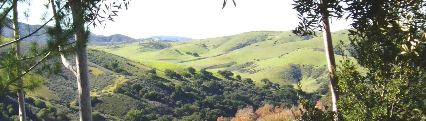 Photograph of the view of the hills from the Brandeis Bardin Campus