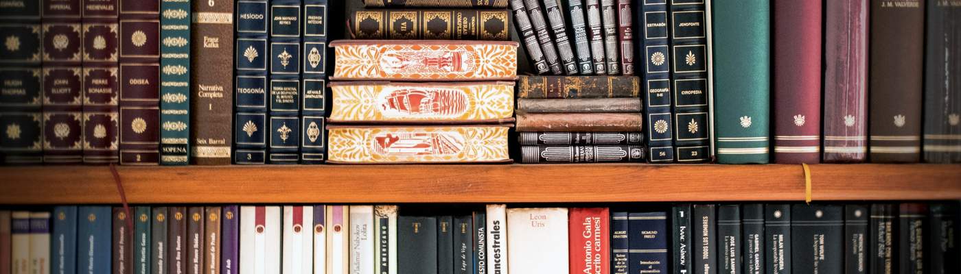 Photograph of library books on a shelf