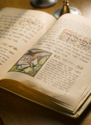 Photograph of a page of illustrated torah