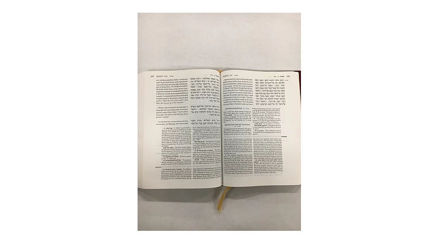 Photo of Open Bible