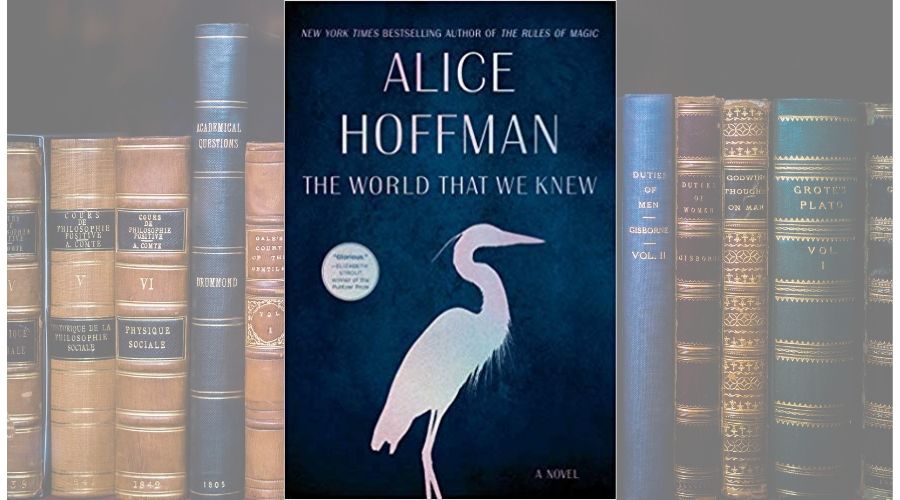 The World That We Knew book cover image