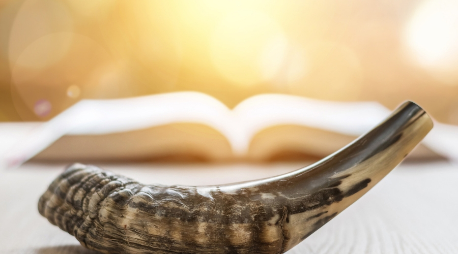 Picture of sidur and shofar