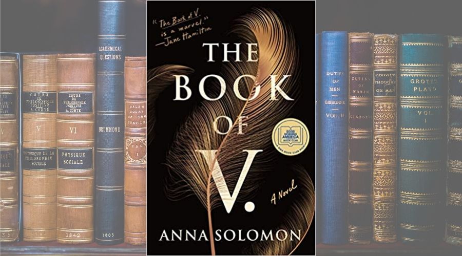 book of v book cover