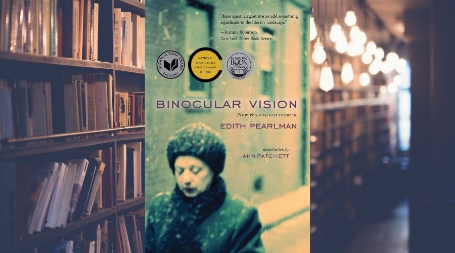 cover of Binocular Vision