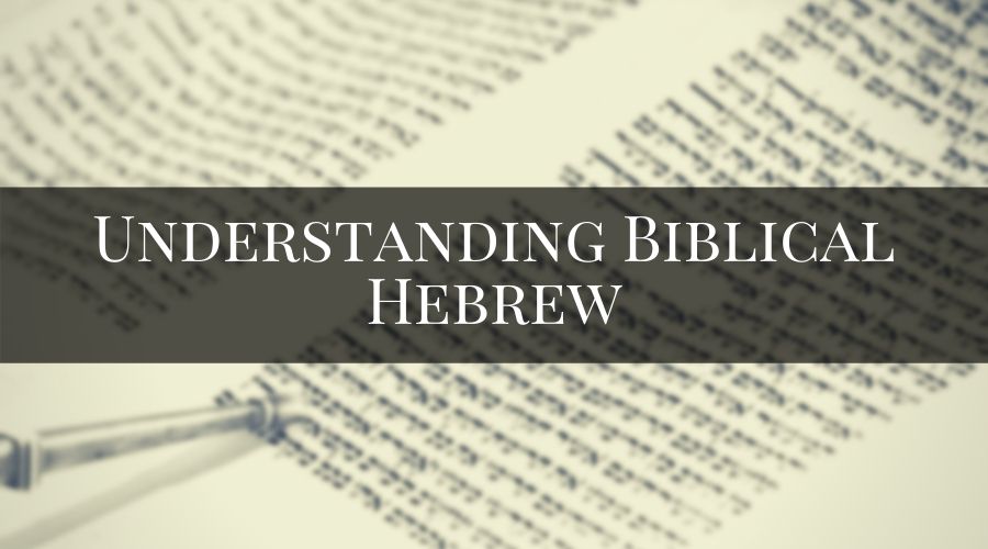 Understanding Biblical Hebrew 