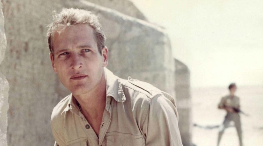 paul newman