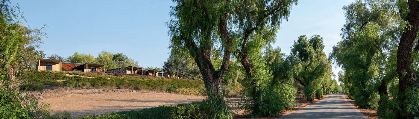 Camp Alonim Rendering