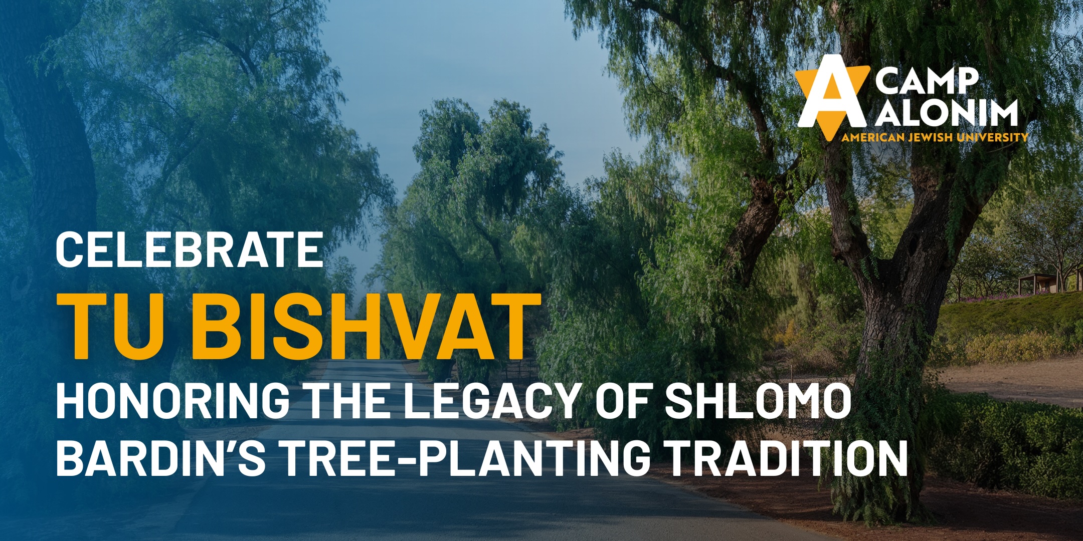 Celebrate Tu Bishvat Honoring the Legacy of Shlomo Bardins Tree Planting Tradition