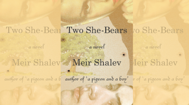 Two She-Bears book cover image 