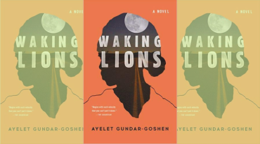 Waking Lions book cover image 