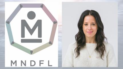 MNDFL logo